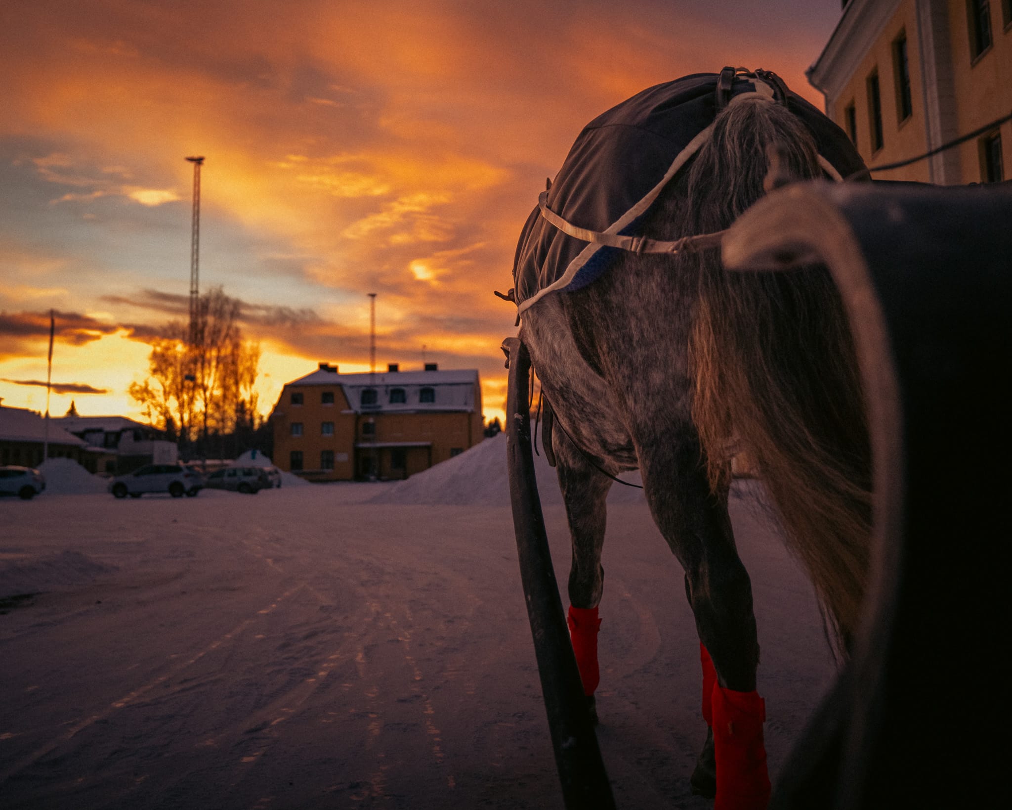 Julmarknad på Kårbacken Lördag 16:e December 2023